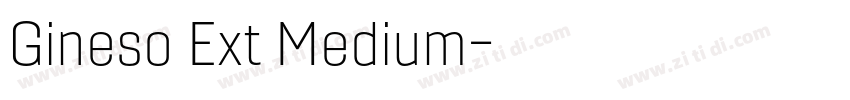 Gineso Ext Medium字体转换